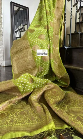 Silk Cotton Bandhani Banaras Chanderi - Green Gold Zari