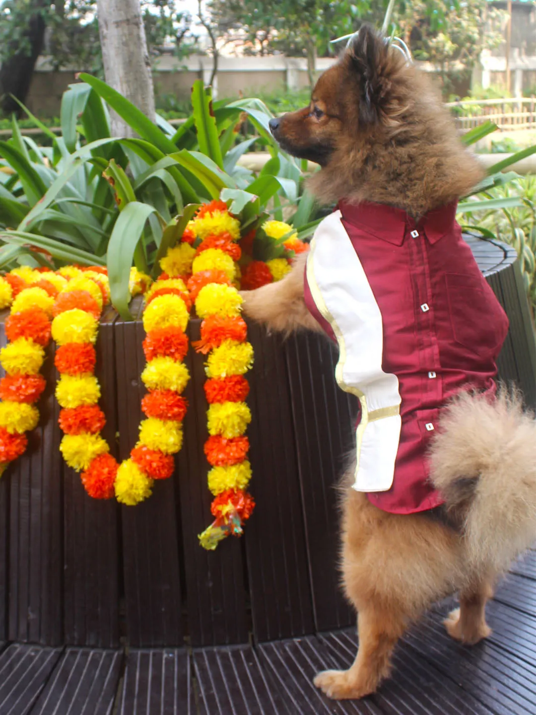 VASTRAMAY Dogs' Maroon Silk Blend  Shirt And Dupatta Set